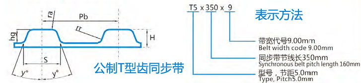 {$ClassName}齿形图